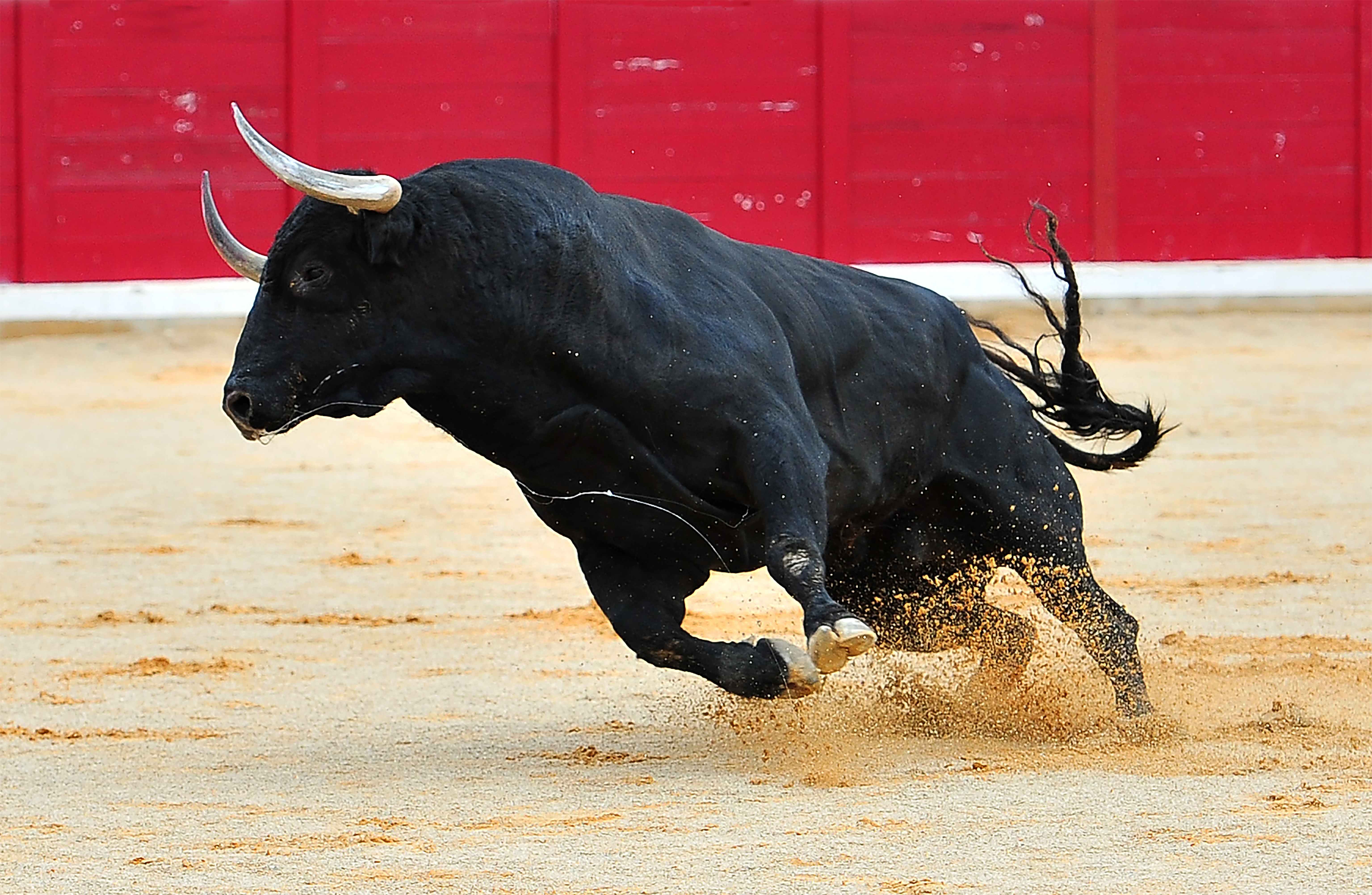 Bulls Regain Footing Above Key Level Market Insights